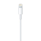 Lightning to USB Cable (0.5 m) In preparation Your Sports Performance