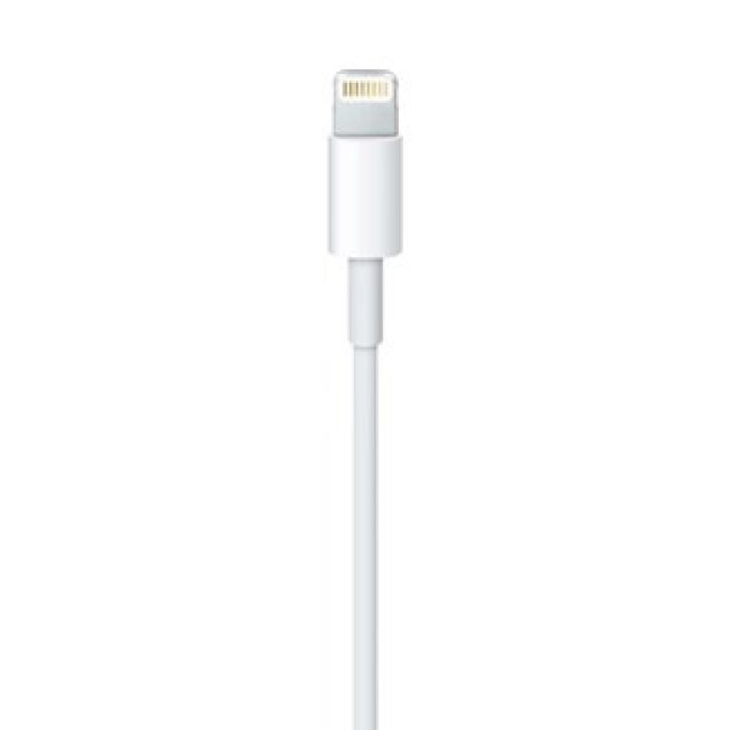 Lightning to USB Cable (0.5 m) In preparation Your Sports Performance