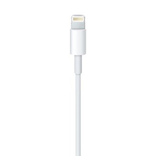 Lightning to USB Cable (0.5 m) In preparation Your Sports Performance