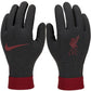 Nike Liverpool FC Thermafit HO23 Jr FQ4600-010 gloves Clothing/Football Nike