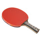Giant Dragon 9★ N8091 Table Tennis Racket Accessories/Rackets and accessories Your Sports Performance