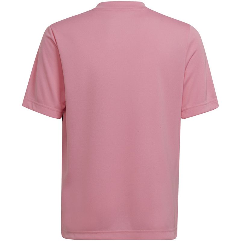 Adidas Entrada 22 Graphic Jersey Jr HC2632 Clothing/Training Adidas