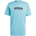 Adidas All SZN Graphic Tee M IC9820 Clothing/Lifestyle/T-shirts Adidas