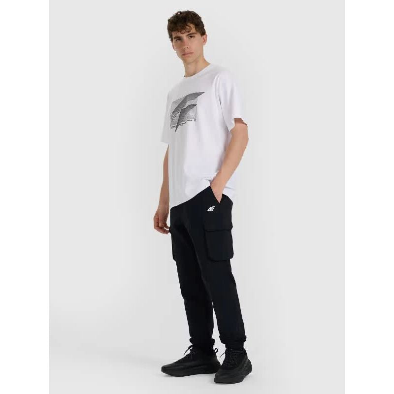 Men's regular printed T-shirt 4F 4FRAW25TTSHM3259-10S 4f
