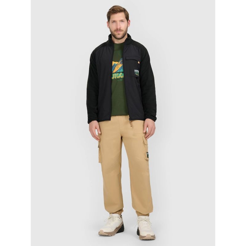 Men's casual cargo pants 4F 4FRAW25TTROM1690-83S 4f