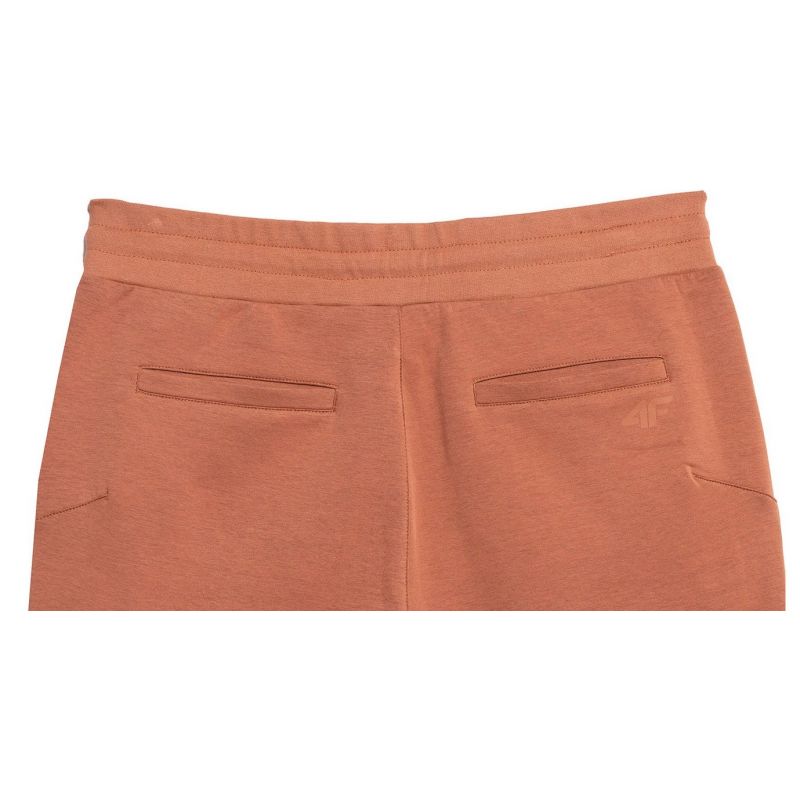 Trousers 4F M 4FSS23TTROM152brown Clothing/Lifestyle/Trousers, shorts/4F 4F