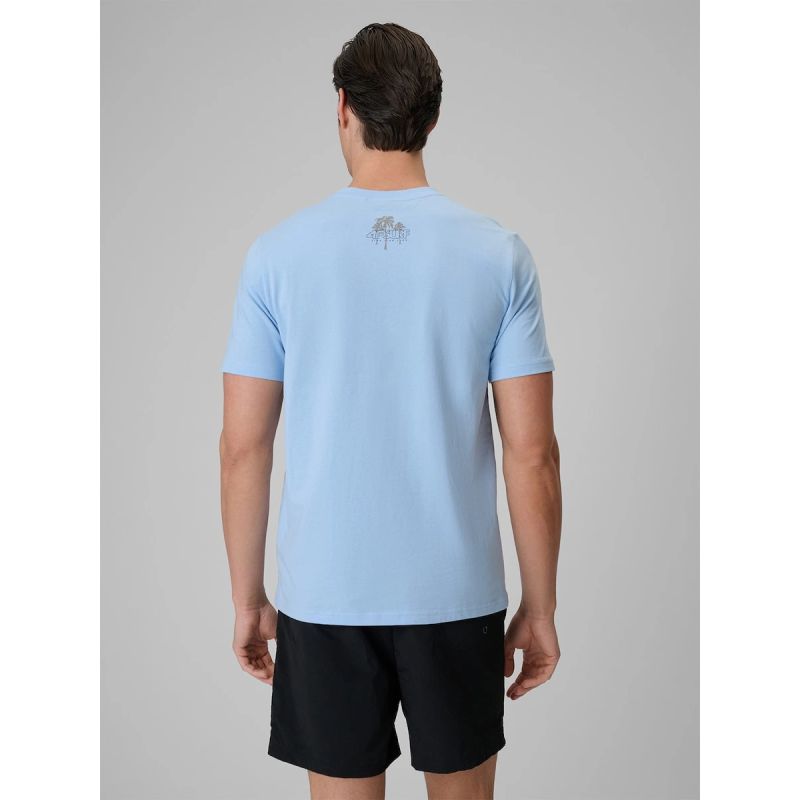 Men's regular printed T-shirt 4F 4FRSS26TTSHM4298-34S