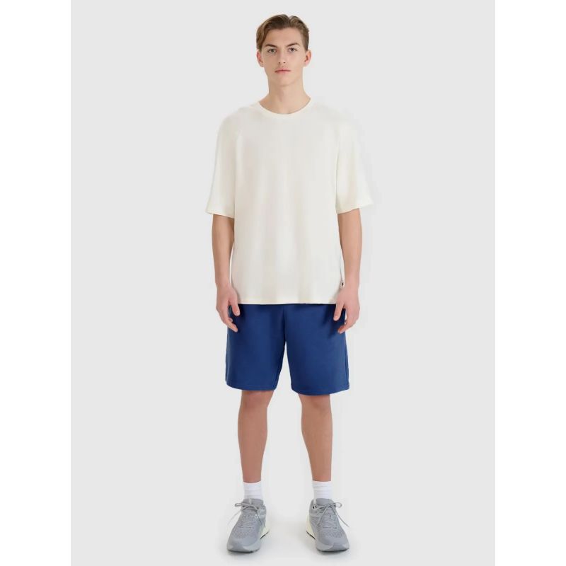 Shorts 4F M 4FWMM00TSHOM543-031S Clothing/Lifestyle/Trousers, shorts/4F 4F