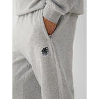 Men's jogger sweatpants 4F 4FRAW26TTROM2176-27M