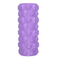 Fitness HMS PURPLE FS107 roller Accessories/Training equipment Your Sports Performance