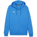 Puma Team Goal Casuals Hooded M 658595 02 sweatshirt Clothing/Football Puma