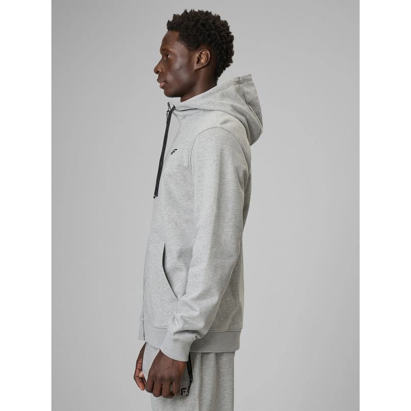 Men's regular hooded sweatshirt 4F 4FRMM00TSWSM3058-27M 4f