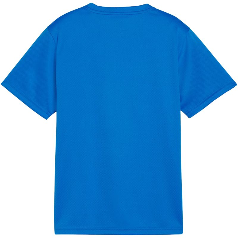 Puma TeamGoal Jersey for kids blue 658637 02 Puma