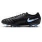 Nike Tiempo Legend 10 Elite FG DV4328-003 shoes In preparation Nike