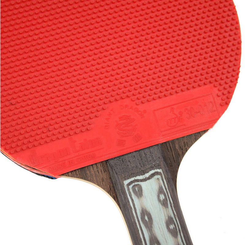 Giant Dragon 9★ N8092 Table Tennis Racket Accessories/Rackets and accessories Your Sports Performance