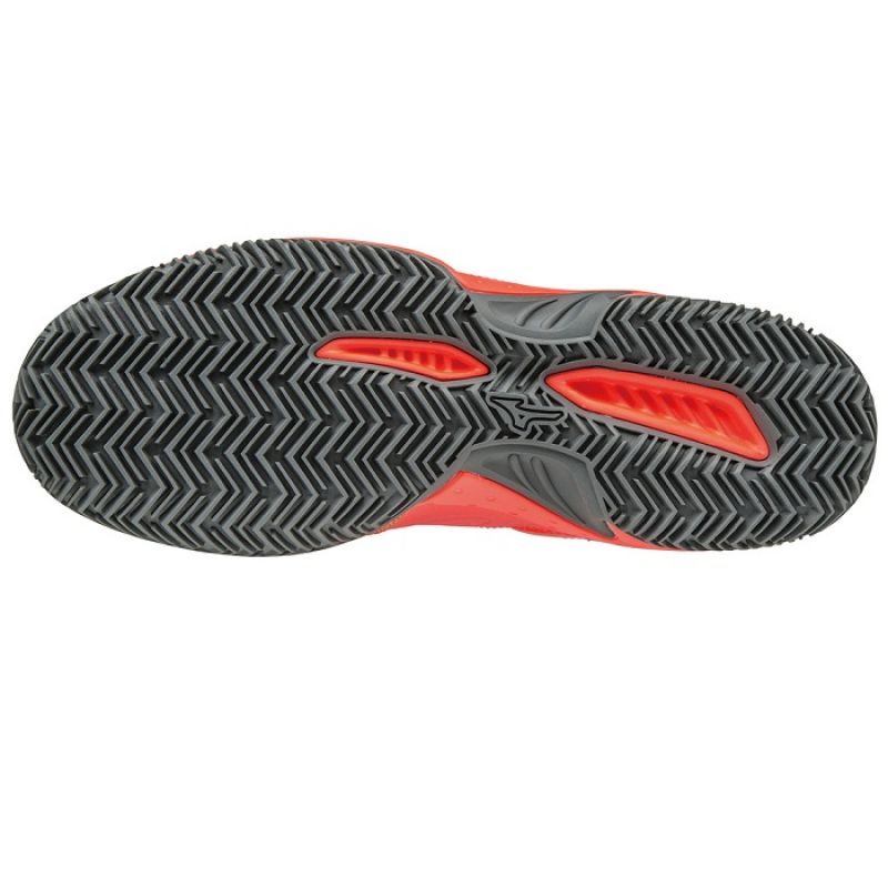 Mizuno Break Shot EX CC M 61GC172602 shoes Footwear/Handball/Men/Mizuno Mizuno