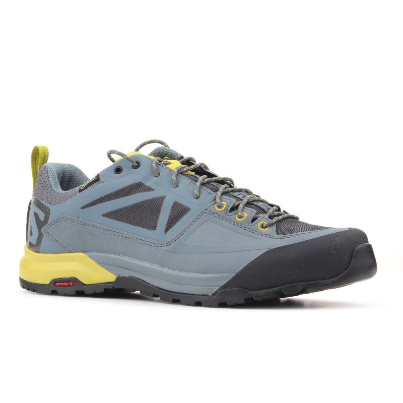 Salomon X Alp SPRY GTX M 401621 shoes Footwear/Outdoor Your Sports Performance