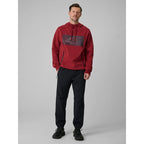 Men's regular hooded sweatshirt 4F 4FRSS26TSWSM2975-20S 4f