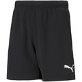 Puma teamRISE Short Jr 704943 04 Clothing/Football Puma