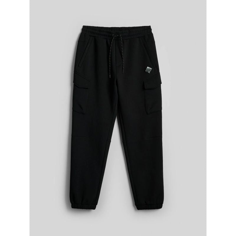 Men's cargo sweatpants 4F 4FRAW26TTROM2091-20S