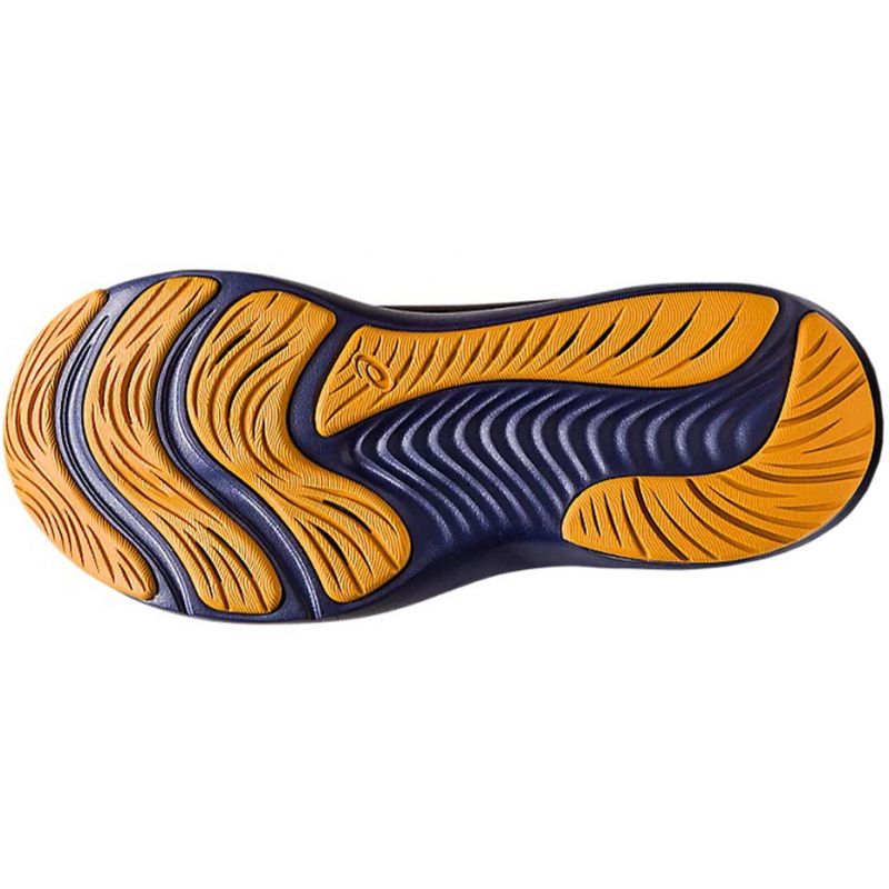 Running shoes Asics Gel-Pulse 14 Gtx W 1012B317 001 Footwear/Running/Women Asics