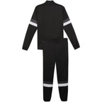 Puma Team Rise M tracksuit 658653 03 Clothing/Training Puma