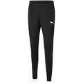 Pants Puma teamRISE Poly Training M 657390 03 Clothing/Training Puma