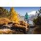 Salewa Pedroc PTC Alpha W Hoody 26355-3390 Clothing/Outdoor/Salewa Your Sports Performance