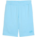 Puma ESS No.1 Logo 10" Men's Shorts (s) Light Blue 682595 45
