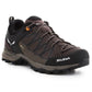Salewa Mtn Trainer Lite GTX M 61361-7512 trekking shoes Footwear/Outdoor/Salewa Your Sports Performance