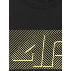 Men's regular printed T-shirt 4F 4FRSS26TTSHM3991-20S 4f