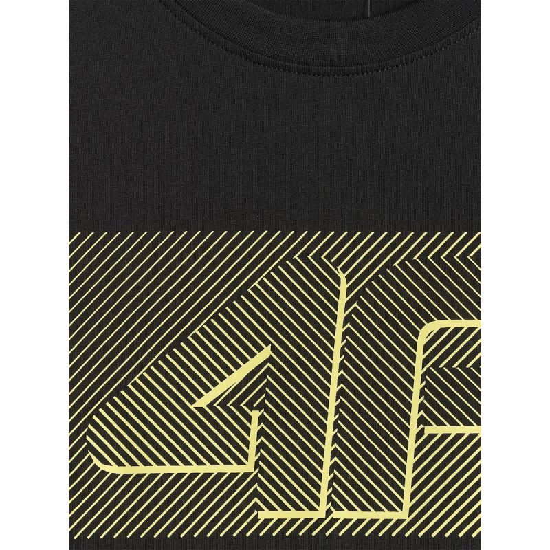 Men's regular printed T-shirt 4F 4FRSS26TTSHM3991-20S 4f