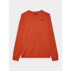 Men's sweatshirt without zipper and hood 4F 4FWMM00TSWSM1767-62S *Kategoria tymczasowa Your Sports Performance