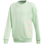 Sweatshirt adidas Jg Mh Crew Jr GE0965 Clothing/Lifestyle Adidas