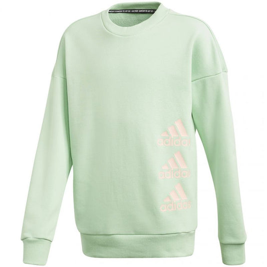 Sweatshirt adidas Jg Mh Crew Jr GE0965 Clothing/Lifestyle Adidas