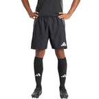 Adidas Tiro 24 Competition Training M shorts IQ4753 Clothing/Football Adidas