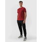 Men's cotton T-shirt 4F 4FWSS25TTSHM3096-61S *Kategoria tymczasowa Your Sports Performance