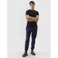 Pants 4F M 4FWSS24TTROM646-31S Clothing/Lifestyle/Trousers, shorts/4F 4F