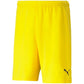 Puma teamRISE Cyber M 704942 07 shorts Clothing/Running Puma