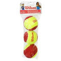 Wilson Starter Red Junior Tennis Balls 3 pcs Accessories/Balls/Tennis Your Sports Performance