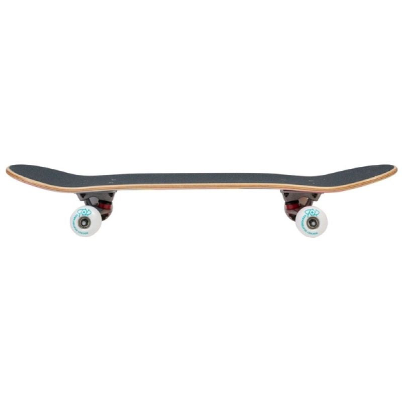 Rocket Flashback Mini 7" RKT-COM-1532 skateboard Accessories/Skating/Rocket Your Sports Performance