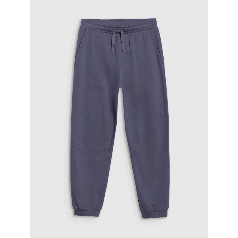 Boys' jogger sweatpants 4F 4FJWSS25TTROM0964-22S *Kategoria tymczasowa Your Sports Performance