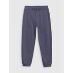 Boys' jogger sweatpants 4F 4FJWSS25TTROM0964-22S *Kategoria tymczasowa Your Sports Performance
