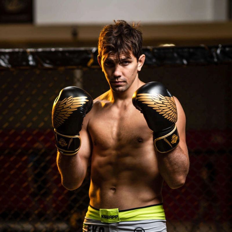 8oz Boxing Gloves - Hawk - Origin Series rękawice treningowe Your Sports Performance