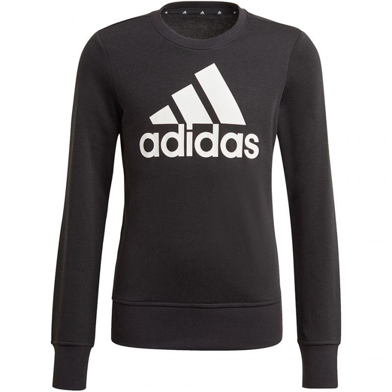 Sweatshirt adidas Essentials Big Logo Jr GP0040 Clothing/Lifestyle Adidas