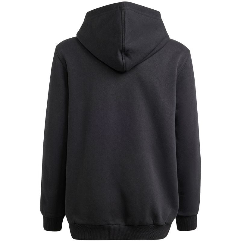 Adidas Allszn GFX HD Jr sweatshirt IS4661 Clothing/Lifestyle Adidas
