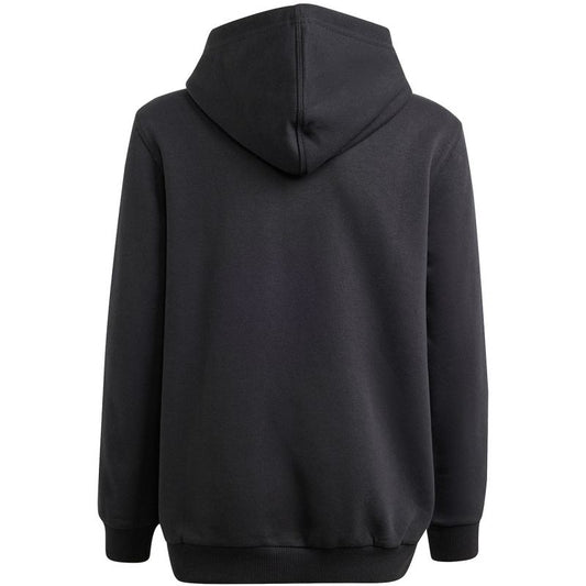 Adidas Allszn GFX HD Jr sweatshirt IS4661 Clothing/Lifestyle Adidas