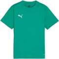 Puma TeamGoal Jersey for kids green 658637 05 Puma