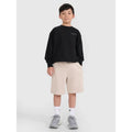 Boys' sweatpants 4F 4FJRSS25TSHOM684-83S 4f