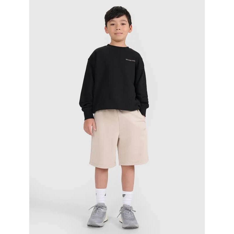 Boys' sweatpants 4F 4FJRSS25TSHOM684-83S 4f
